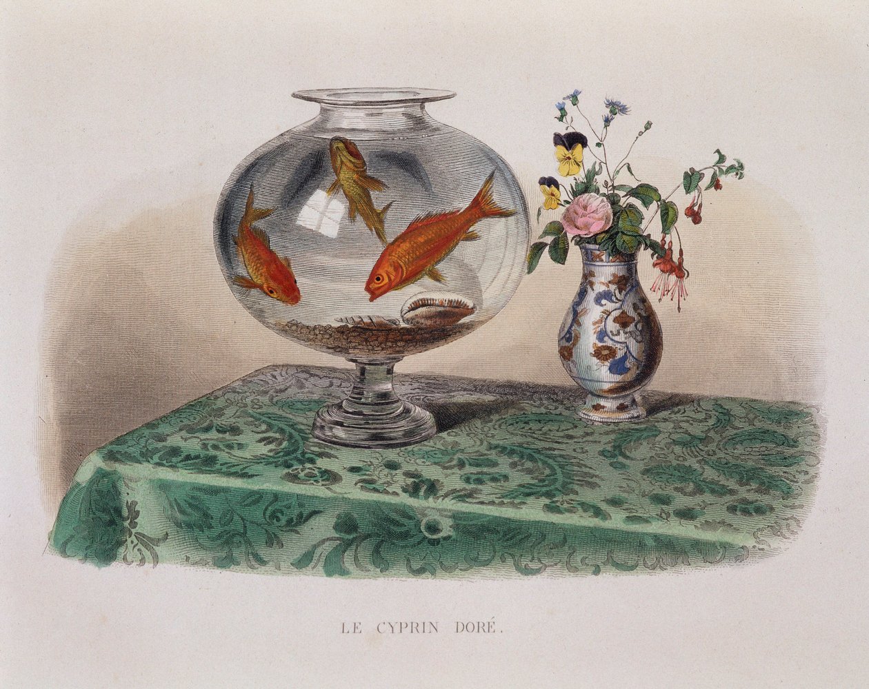 Az aranyhal (aranyhal a tégelyükben) - a "" Lacepedében"" alkotó: French School