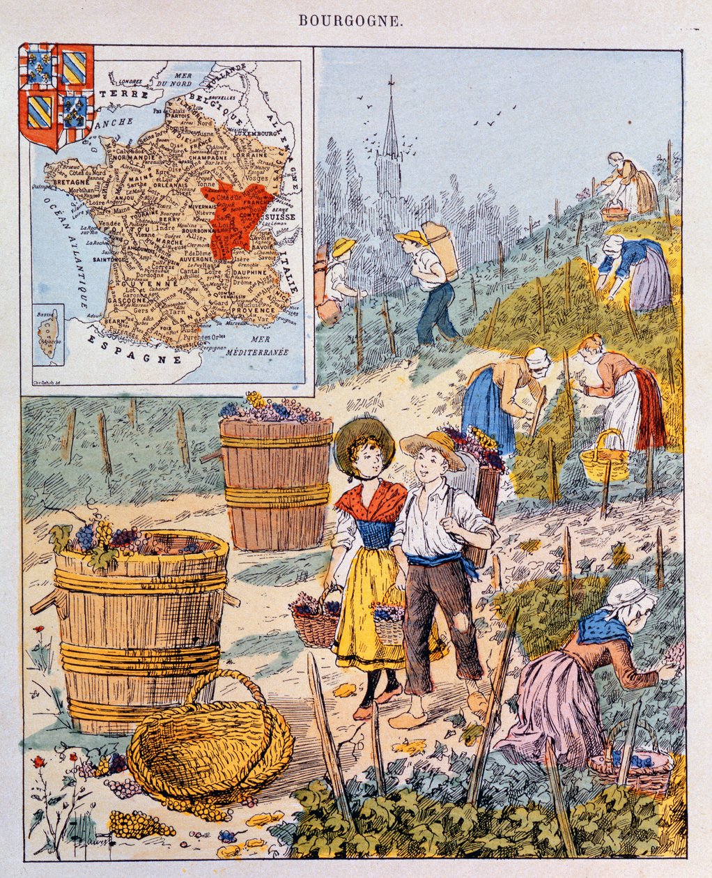 A szőlőszüret Burgundiában, illusztráció egy iskolai tankönyvből, 1910 körül alkotó: French School