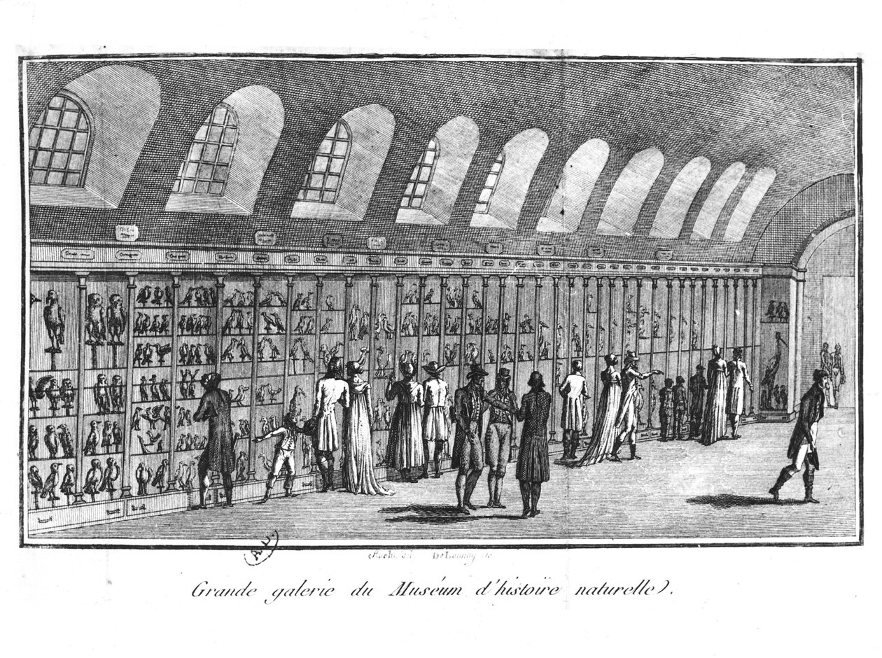 A párizsi Természettudományi Múzeum Nagy Galériája alkotó: French School