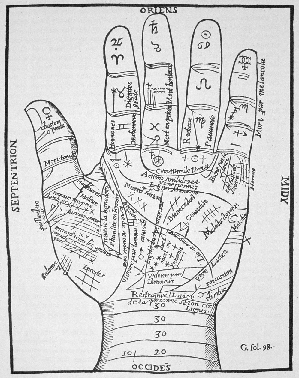 A bal kéz, egy diagram másolata Jean Belot nyomán, Oevres, Lyon 1649, a mágiatörténetben használt, a 19. század végén megjelent alkotó: French School