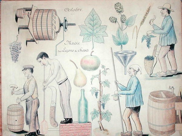 Október hónap: Bortermelés (toll és tus, színes ceruza, papír) alkotó: French School