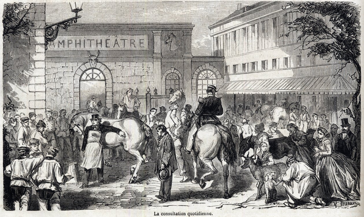 Alfort Nemzeti Állatorvosi Iskola - Les grandes écoles de France - Maison Alfort Állatorvosi Iskola 1866-ban - Napi konzultáció - Metszet az 1866-os „Le monde illustrious”-ban alkotó: French School