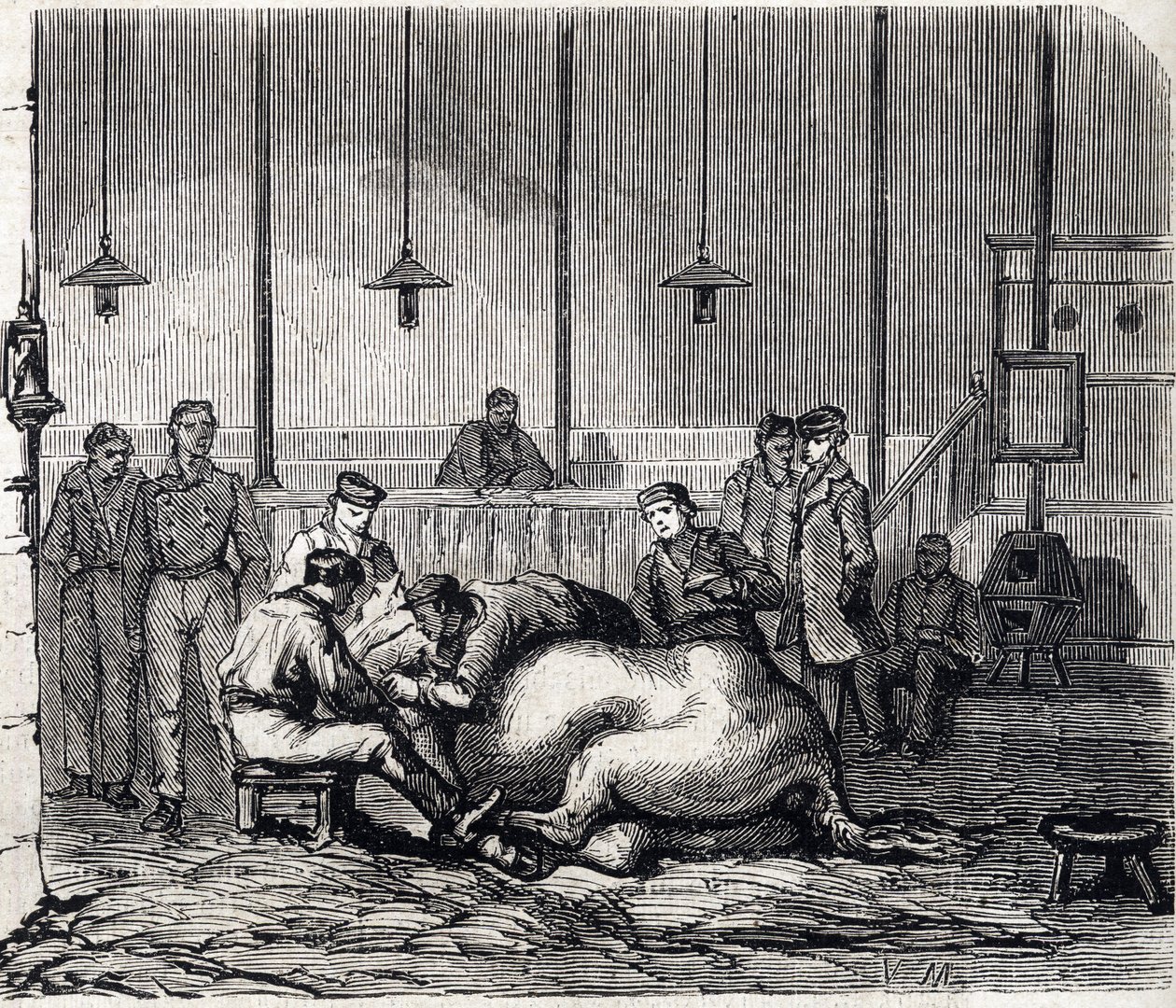 Alforti Nemzeti Állatorvosi Iskola - Les grandes écoles de France - Maison Alfort Állatorvosi Iskola 1866-ban - Boncolószoba - Metszet a „Le monde illustrious”-ban, 1866 alkotó: French School