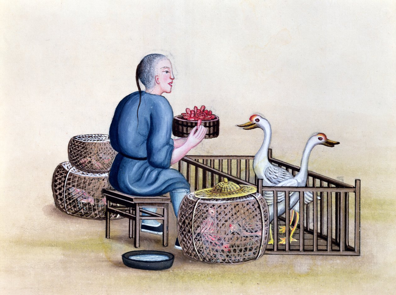 A baromfikereskedő, a pekingi utcai hívásokról szóló könyvből, 1785 körül (wc és gouache papíron) alkotó: French School
