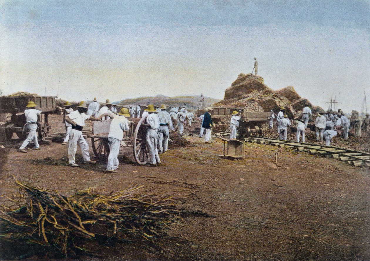 Munkavégző rabok az új-kaledóniai Noumea büntetőtelepen, Gillot metszete, 1900 körül alkotó: French School