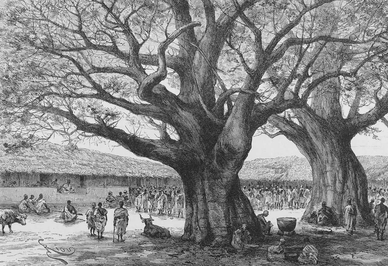 Az aouaboui királyi rezidencia, Louis Gustave Binger "Du Niger au Golfe de Guinee..." illusztrációja, 1892 alkotó: French School