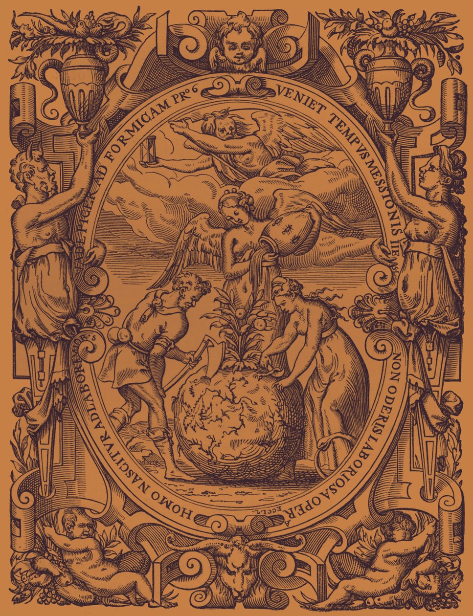 "A növényi birodalom" alkotó: French School