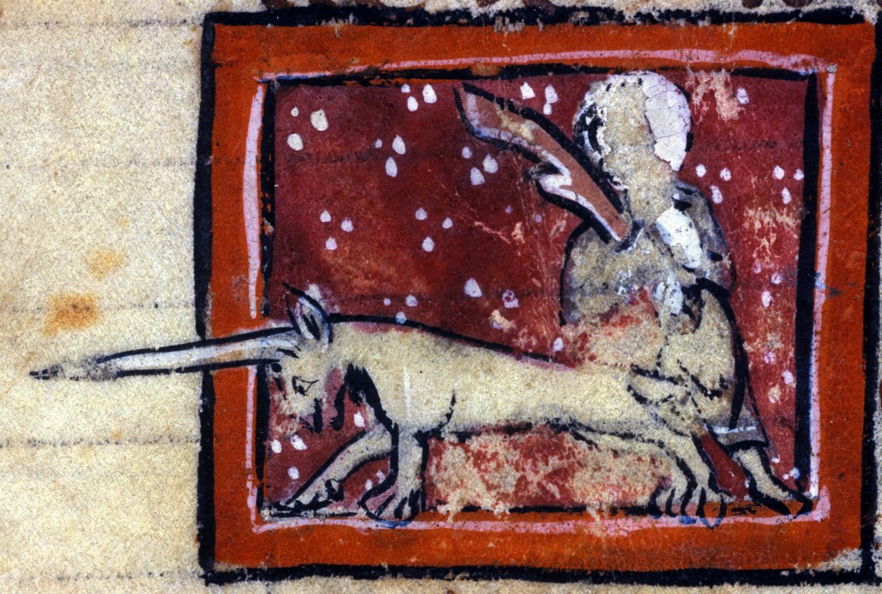 Szűz és egyszarvú (Unicorn) - a 14. századi francia bestiárium. Milánó, Biblioteca Trivulziana. alkotó: French School