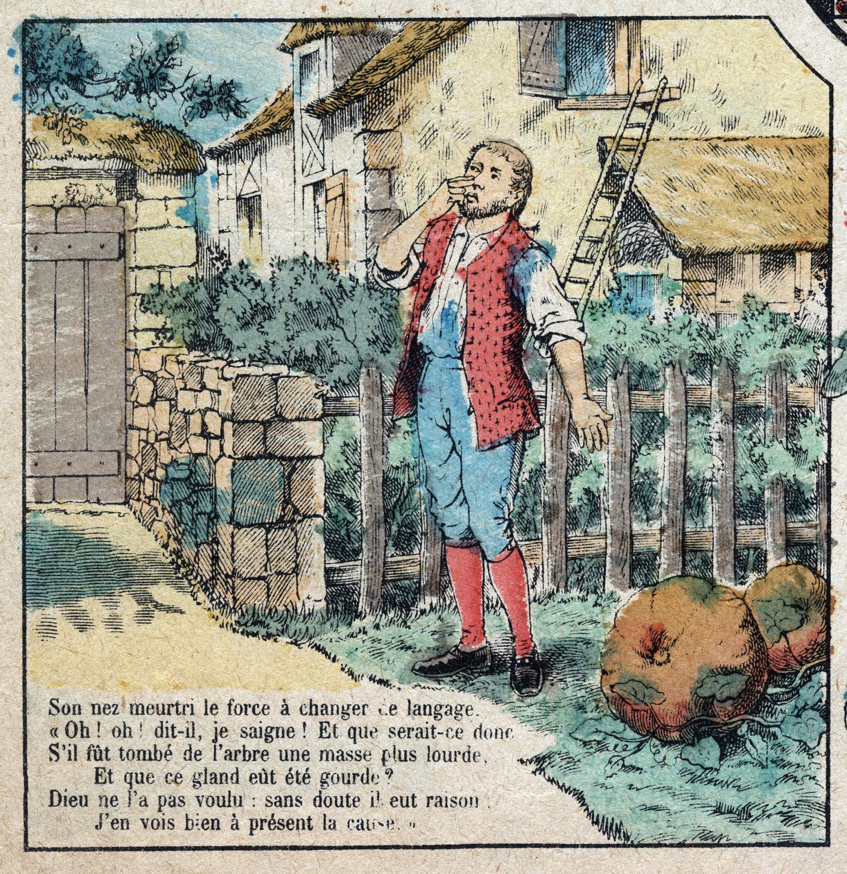A makk és a sütőtök. Jean de La Fontaine (1621-95) meséi. Epinal képalkotása a 19. század végéről. alkotó: French School