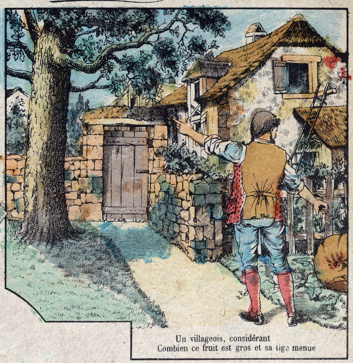 A makk és a sütőtök. Jean de La Fontaine (1621-95) meséi. Epinal képalkotása a 19. század végéről. alkotó: French School