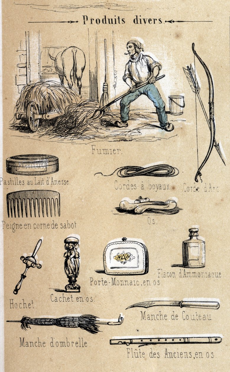 A szamár és termékei metszet 1860-ból „” a tanulságos kikapcsolódások”” Jules DELBRUCK szinoptikus festménye. Magángyűjtemény. alkotó: French School