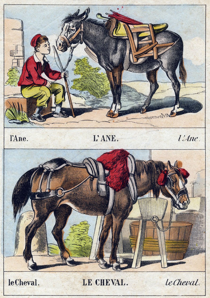 A szamár és a ló. Metszet „Buffon Alphabet des Animaux". 3. sorozat N 1. Epinal képalkotása, Epinal, 19. század vége. 16 oldal. Mérete: 28x21 cm alkotó: French School