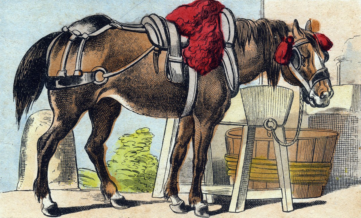 A ló. Metszet „Buffon Alphabet des Animaux". 3. sorozat N 1. Epinal képalkotása, Epinal, 19. század vége. 16 oldal. Mérete: 28x21 cm alkotó: French School