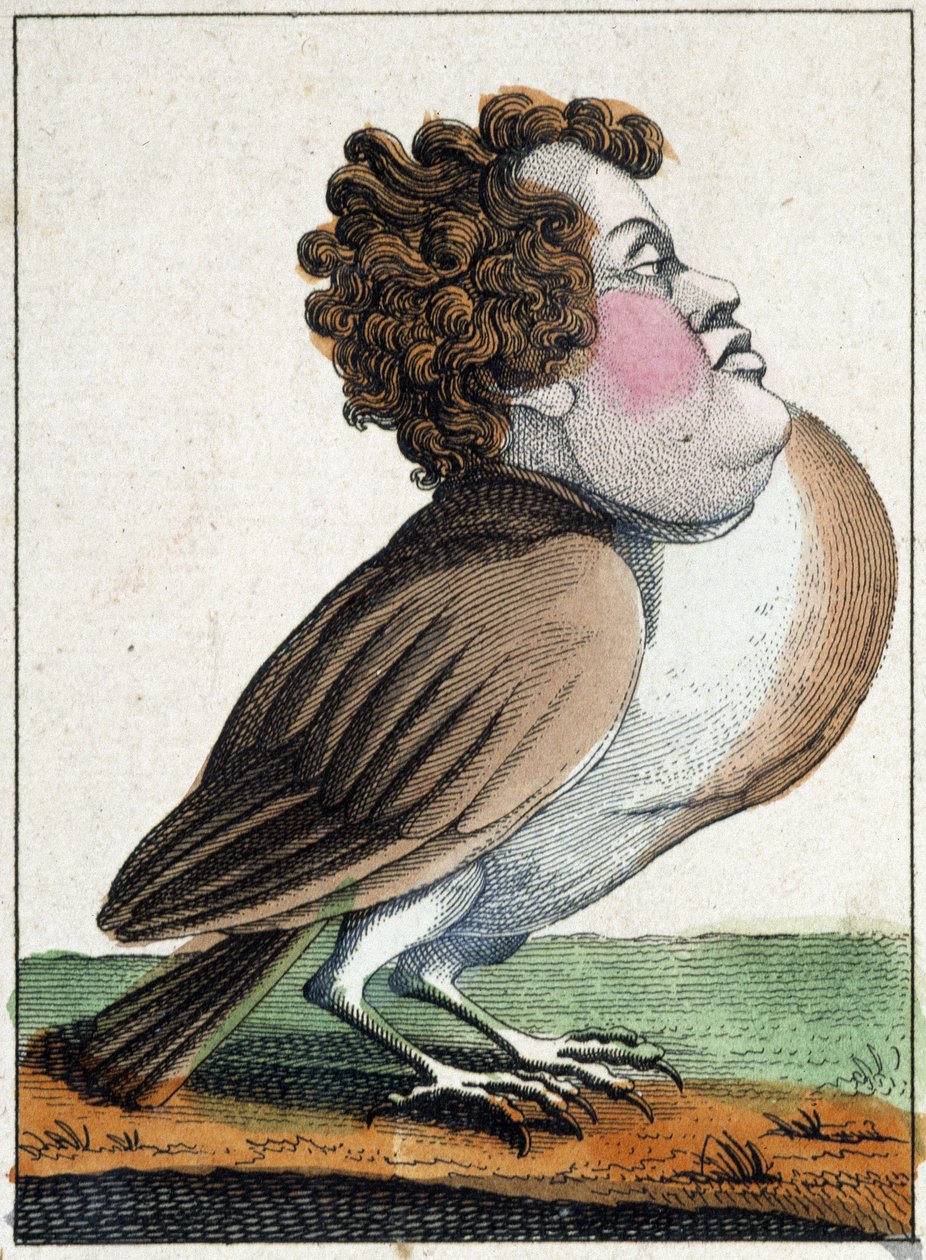 A galamb a karikatúrában, a karakter „illékony karakter” tanulmányozása sd. 19., népszerű képalkotás. alkotó: French School