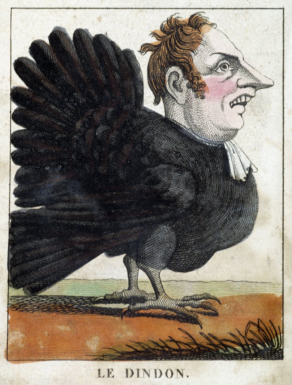 A pulyka a karikatúrában, a karakter „illékony karakter” tanulmányozása sd. 19., népszerű képalkotás. alkotó: French School
