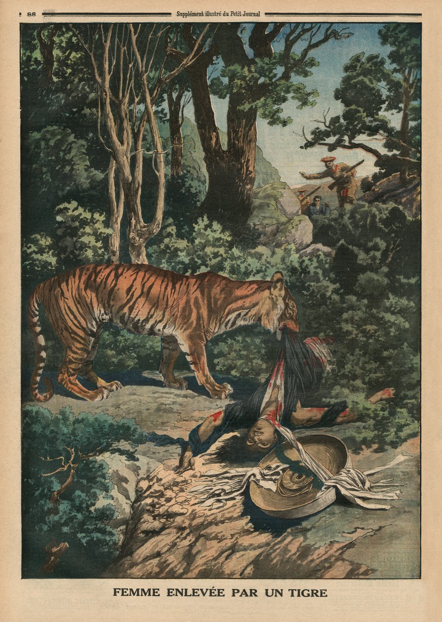 Tigris megtámad egy nőt, a hátsó borító illusztrációja a „Le Petit Journal”-ból, mellékelt illusztráció, 1914. március 15. alkotó: French School