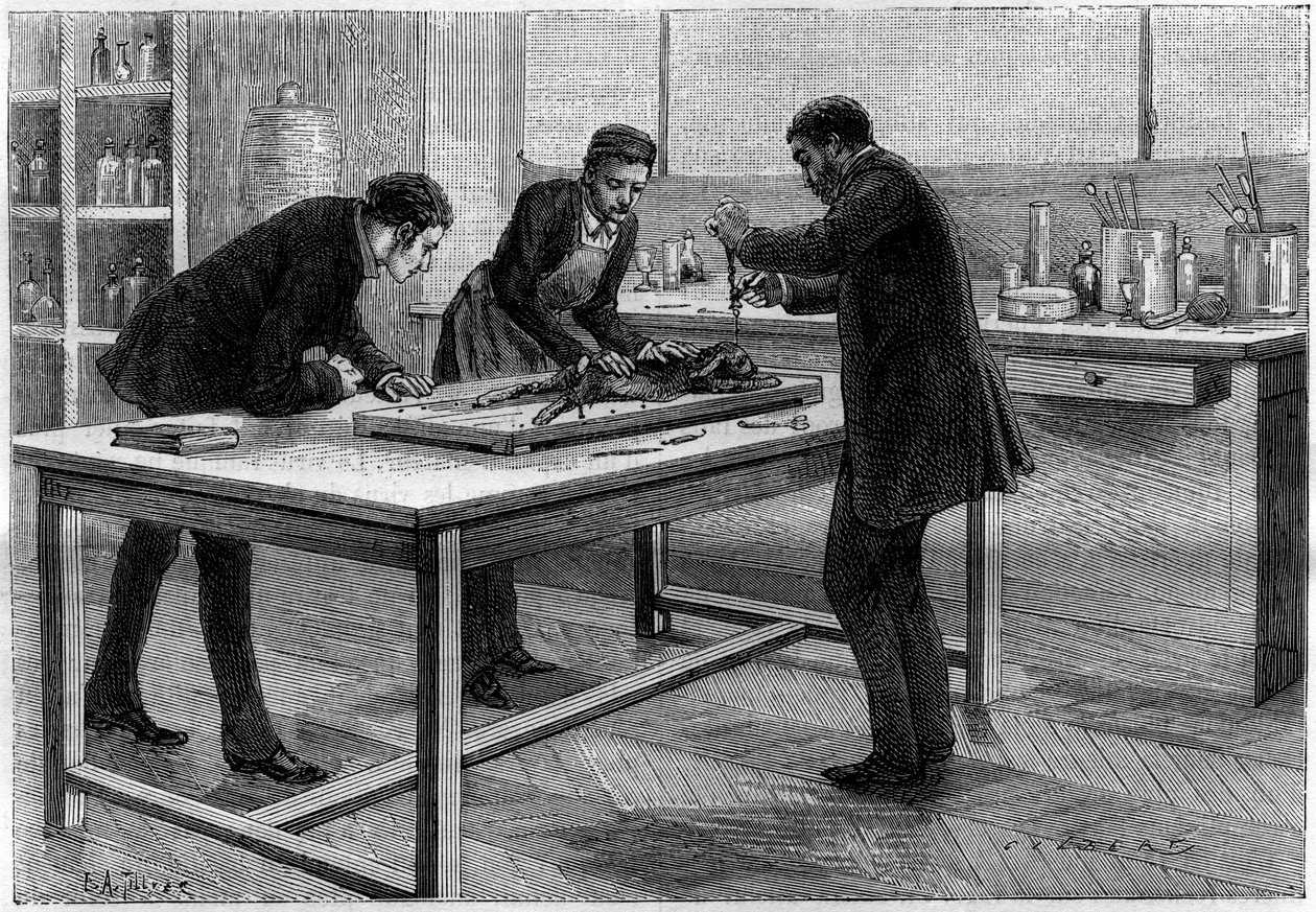 Egy nyúl trepanációja Louis Pasteur (1822-1895) laboratóriumában, veszettség tanulmányozására, C.Gilbert d