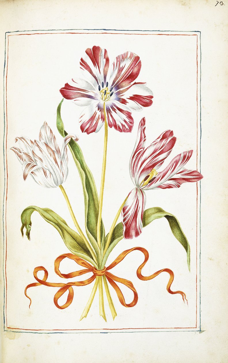 Tulipánok, 18. század alkotó: French School