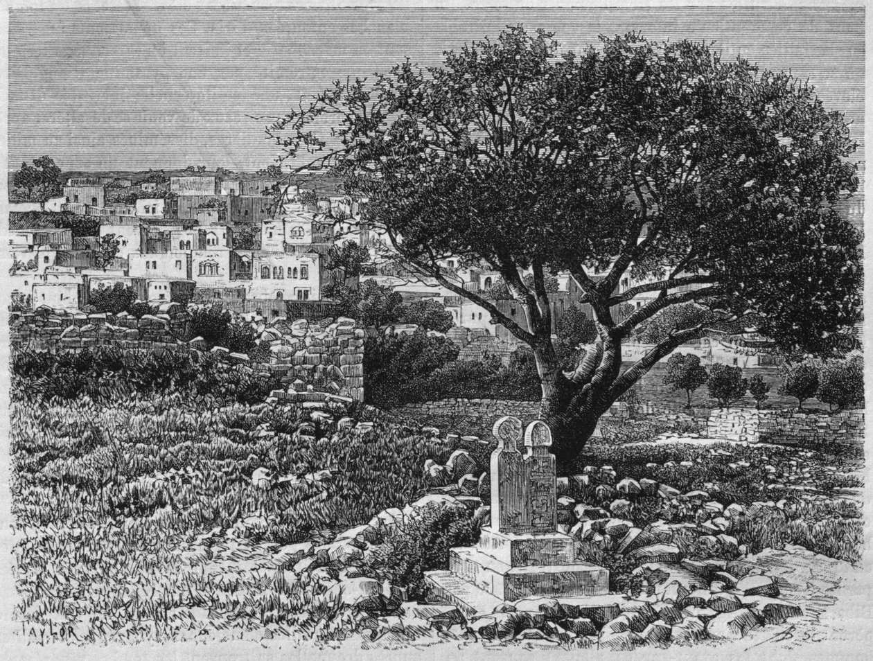 Kilátás Safedre, Szíriából ma. Utazások Föníciában, Libanonban és Júdeában. Louis Charles Emile Lortet 1875-1880, 1884 (bw metszet) alkotó: French School
