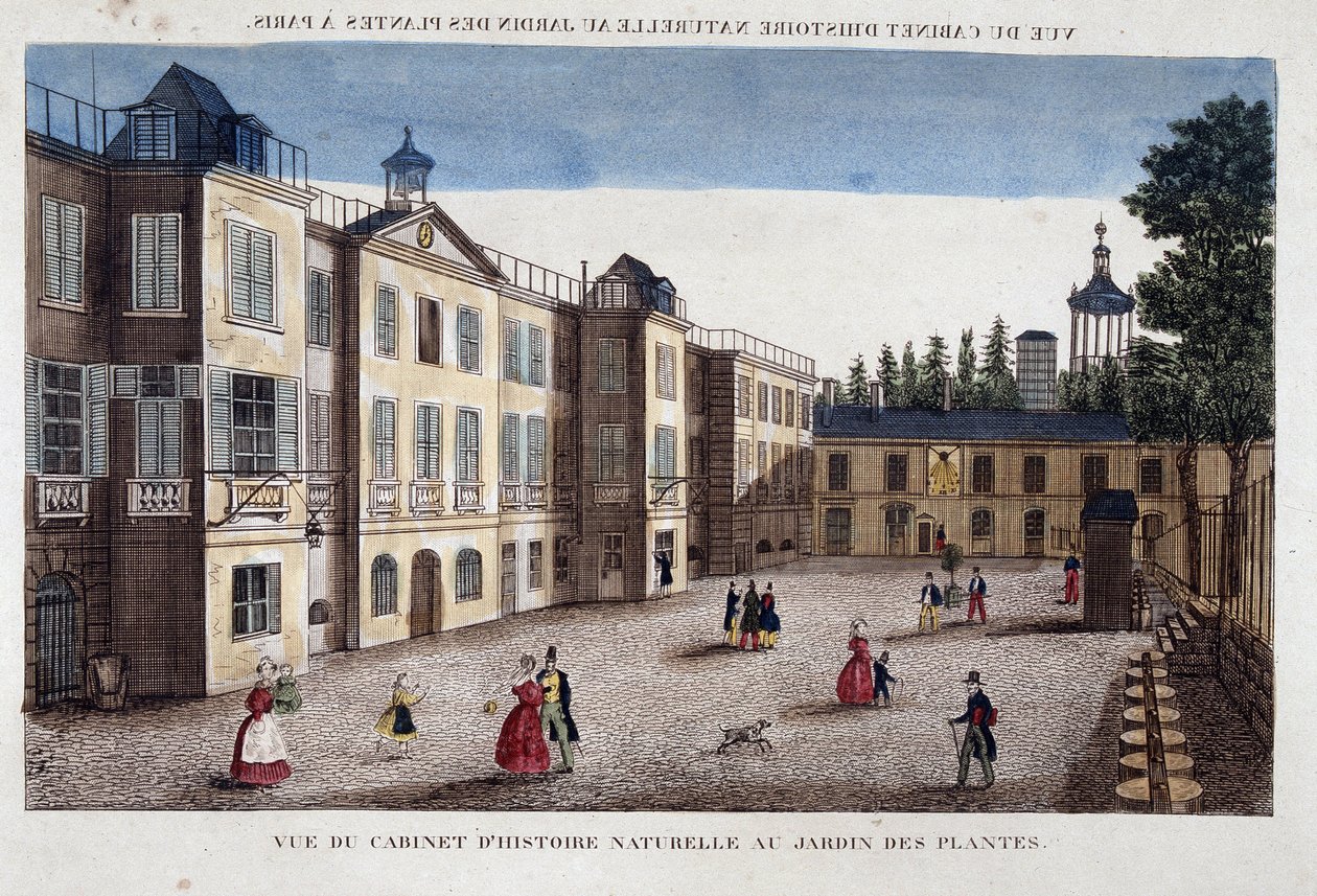 Kilátás a párizsi Jardin des Plantes természetrajzi szekrényére - metszet alkotó: French School