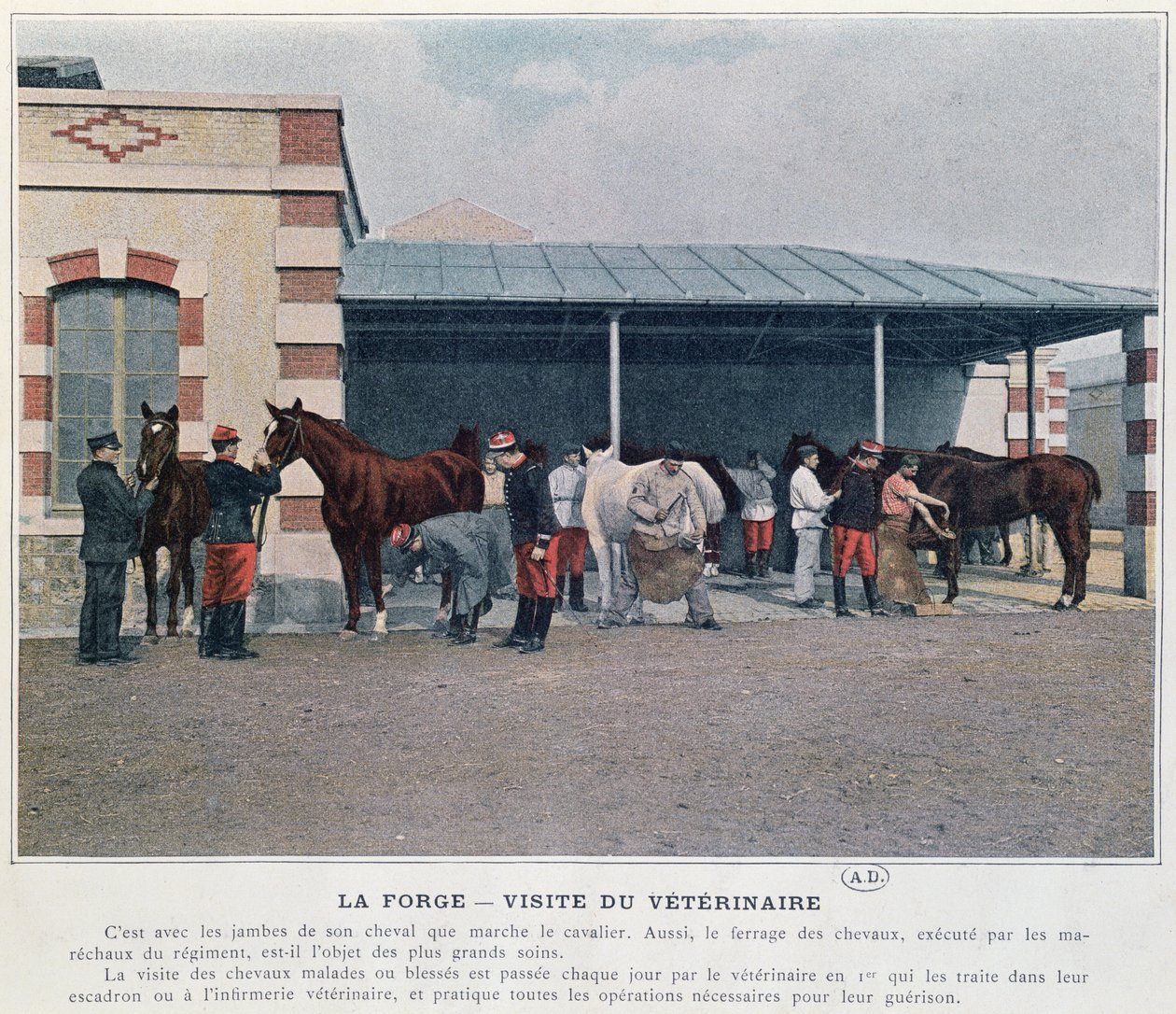A hadsereg állatorvosának látogatása a laktanyában, 1897 (színes litó, színes fénykép után) alkotó: French School
