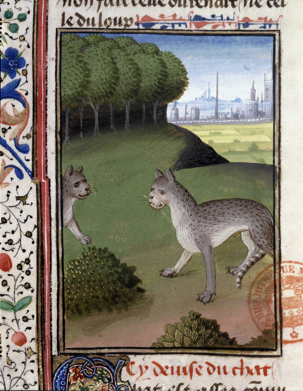 Vadmacskák – Gaston Phoebus, Foix grófja, Medve ura „” vadászkönyvében” alkotó: French School