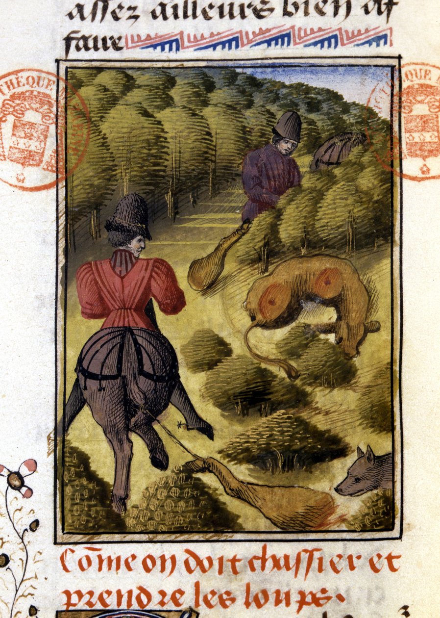 Farkasvadászat - in "" Gaston Phoebus, Foix grófja, Béarn ura - vadászkönyve" alkotó: French School