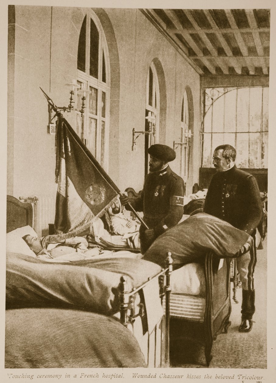 A sebesült Chasseur megcsókolja a szeretett Trikolort, 1914-19 alkotó: French School