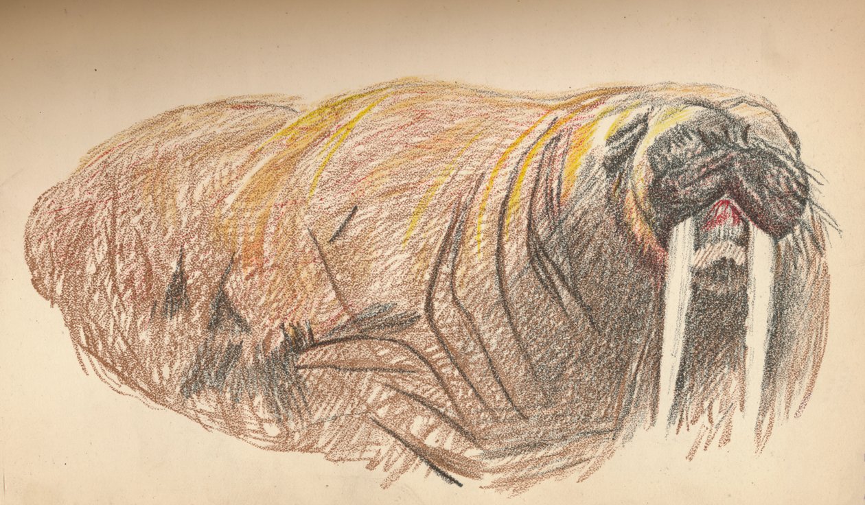 Álmos és kereszt, 1893. szeptember 12. Pasztellvázlat, 1893, 1897 alkotó: Fridtjof Nansen