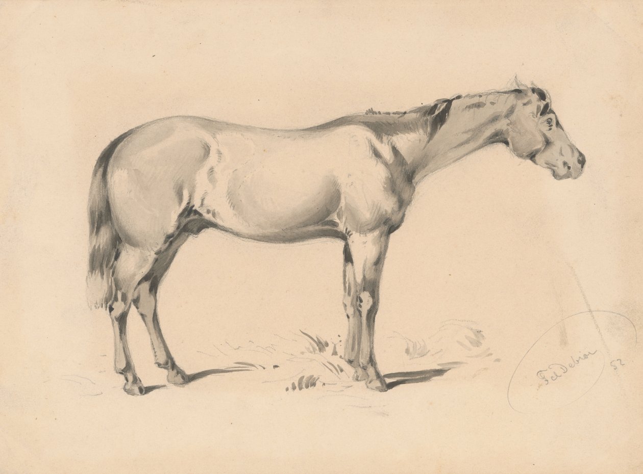 Tanulmány egy lóról I. alkotó: Friedrich Carl von Scheidlin