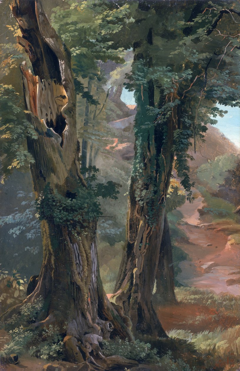 Old Elms, 1835 körül (olaj, papír a táblán) alkotó: Friedrich Nerly