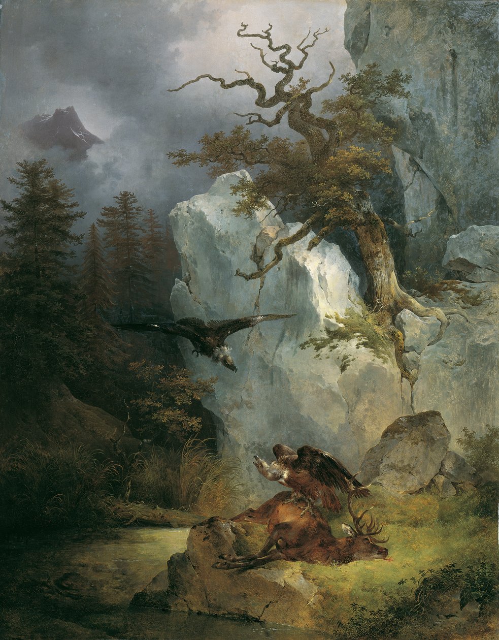 Keselyű egy döglött szarvason alkotó: Friedrich August Mathias Gauermann