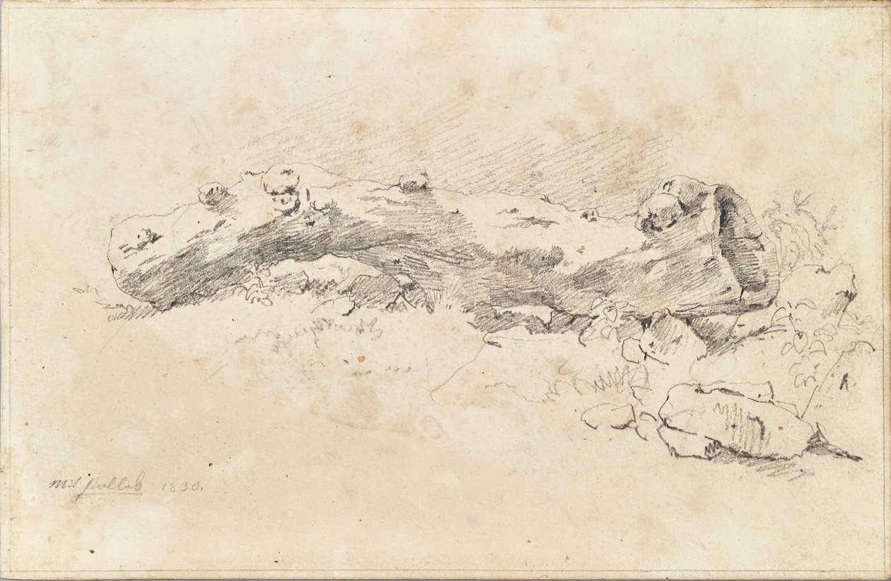 Fekvő üreges fatörzs alkotó: Friedrich August Mathias Gauermann
