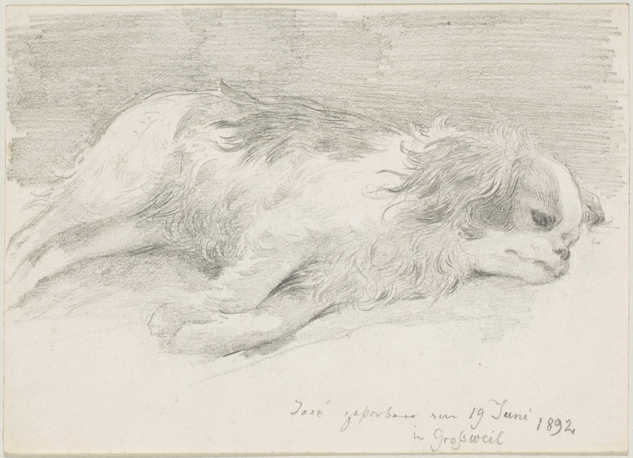 kutyatanulmányok alkotó: Friedrich August von Kaulbach