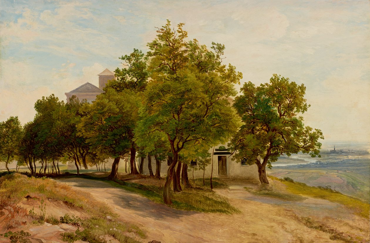 Facsoport a Kahlenbergen, kilátással Bécsre alkotó: Friedrich Loos