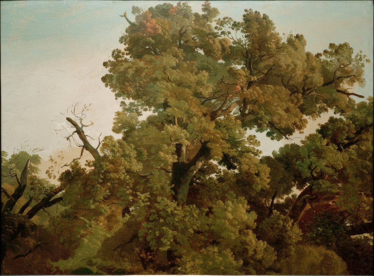 Tölgy alkotó: Friedrich Nerly