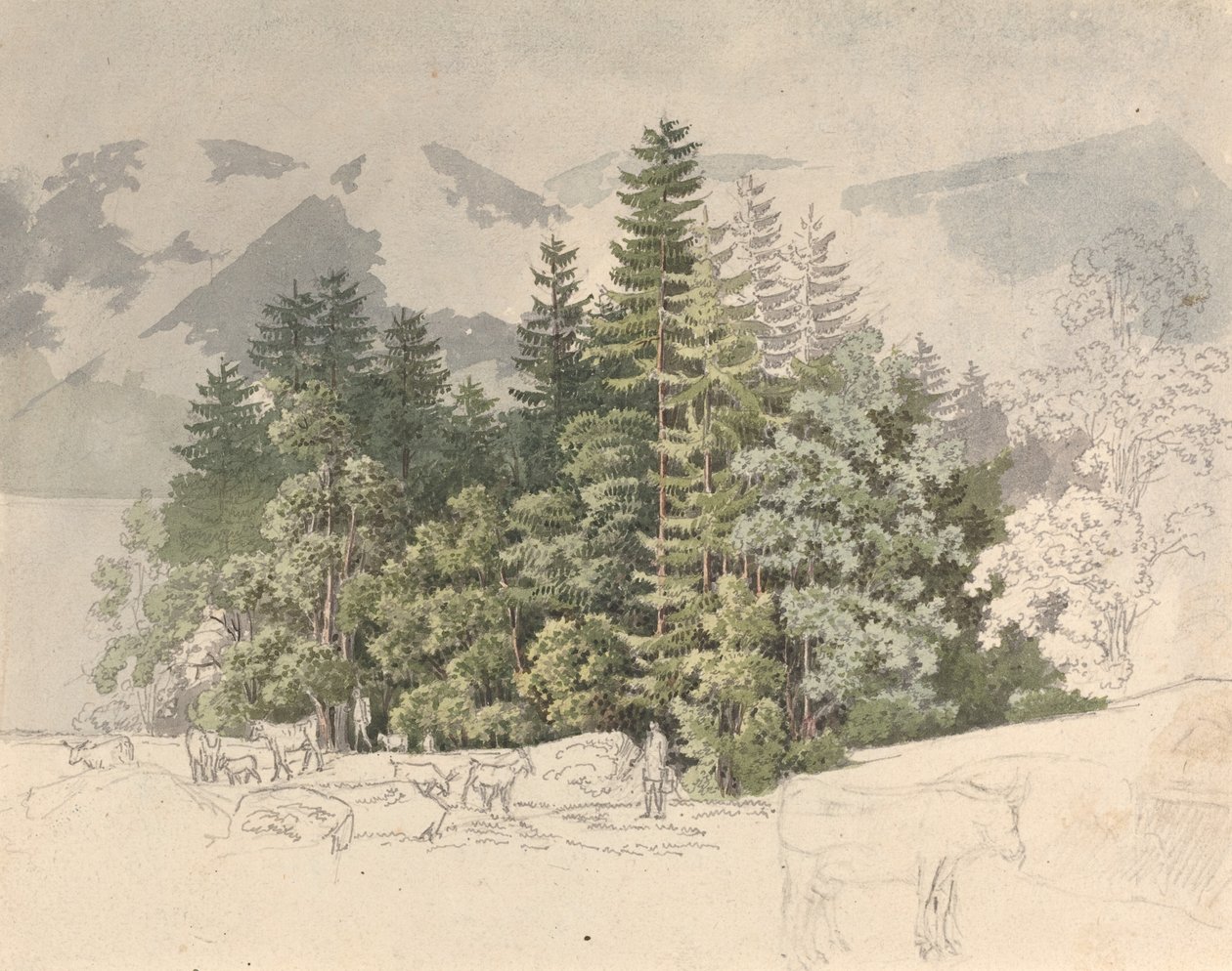 alpesi táj alkotó: Friedrich Salathé