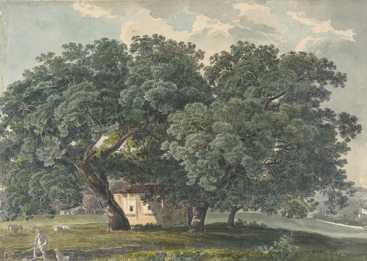 Olasz táj fákkal recto, 1815-21. alkotó: Friedrich Salathé