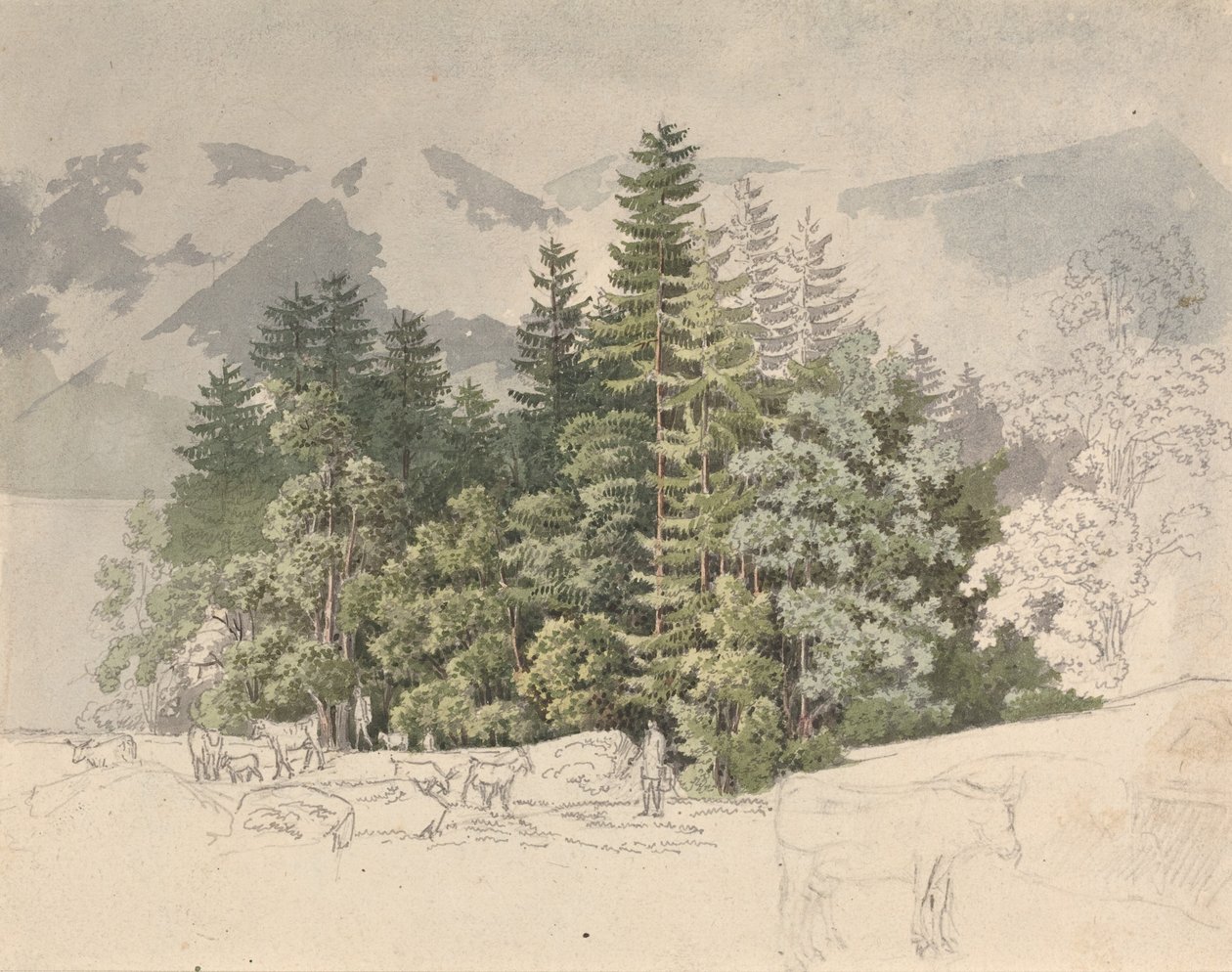 Alpesi táj (gouache grafitra) alkotó: Friedrich Salathe