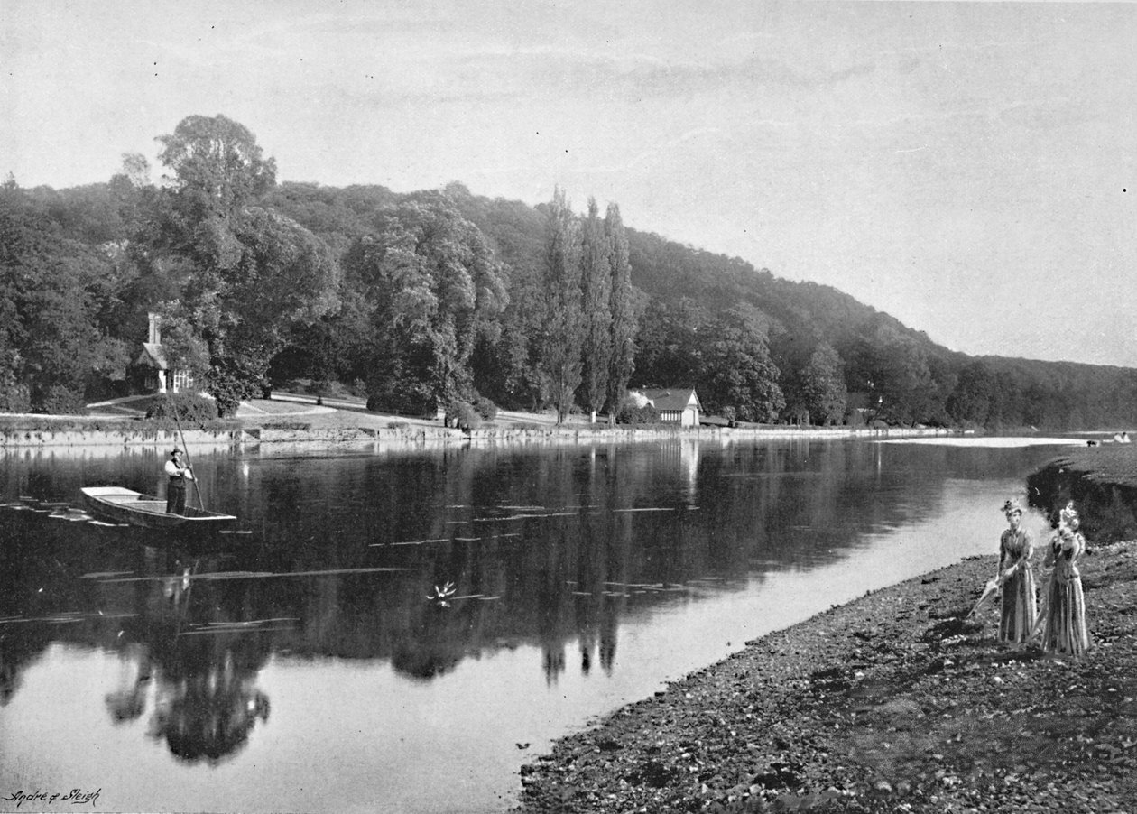 Cliefden Woods, 1896 alkotó: Frith and Co