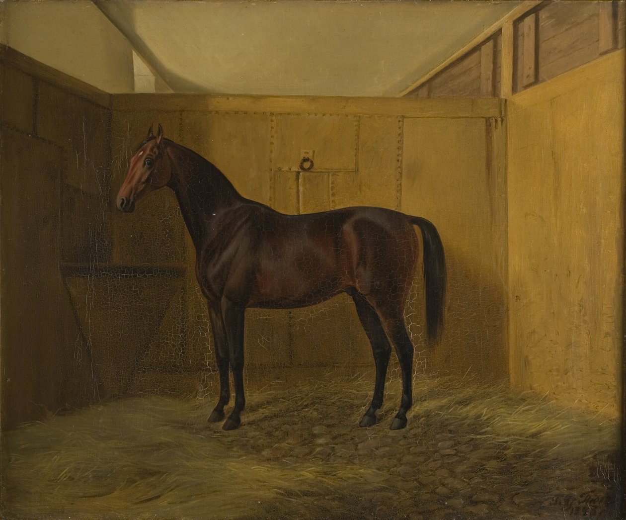 Hersilia alkotó: Fritz Thomsen