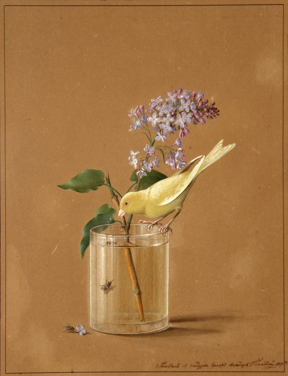 Kanári madár lila ágon, 1819 alkotó: Fyodor Petrovich Tolstoy