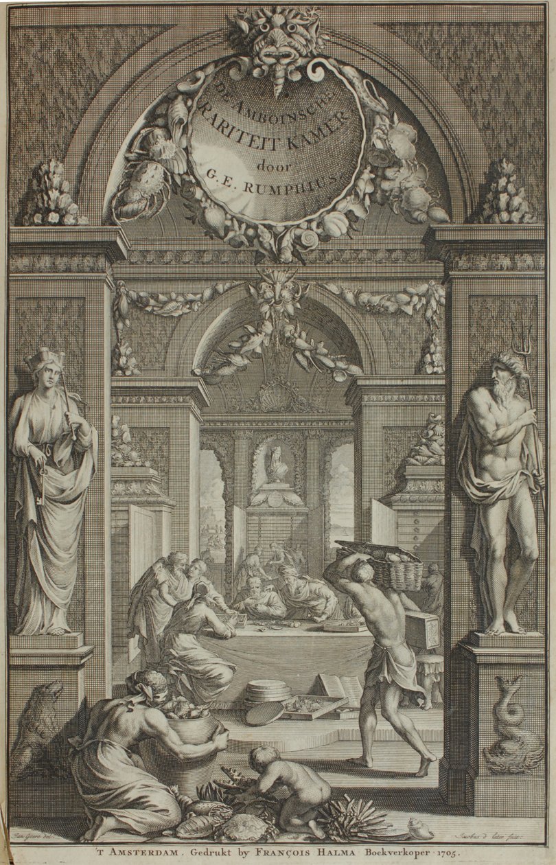 G. E. Rumphius, Amboinische Rariteikammer, Amszterdam 1705 alkotó: G. E. Rumphius