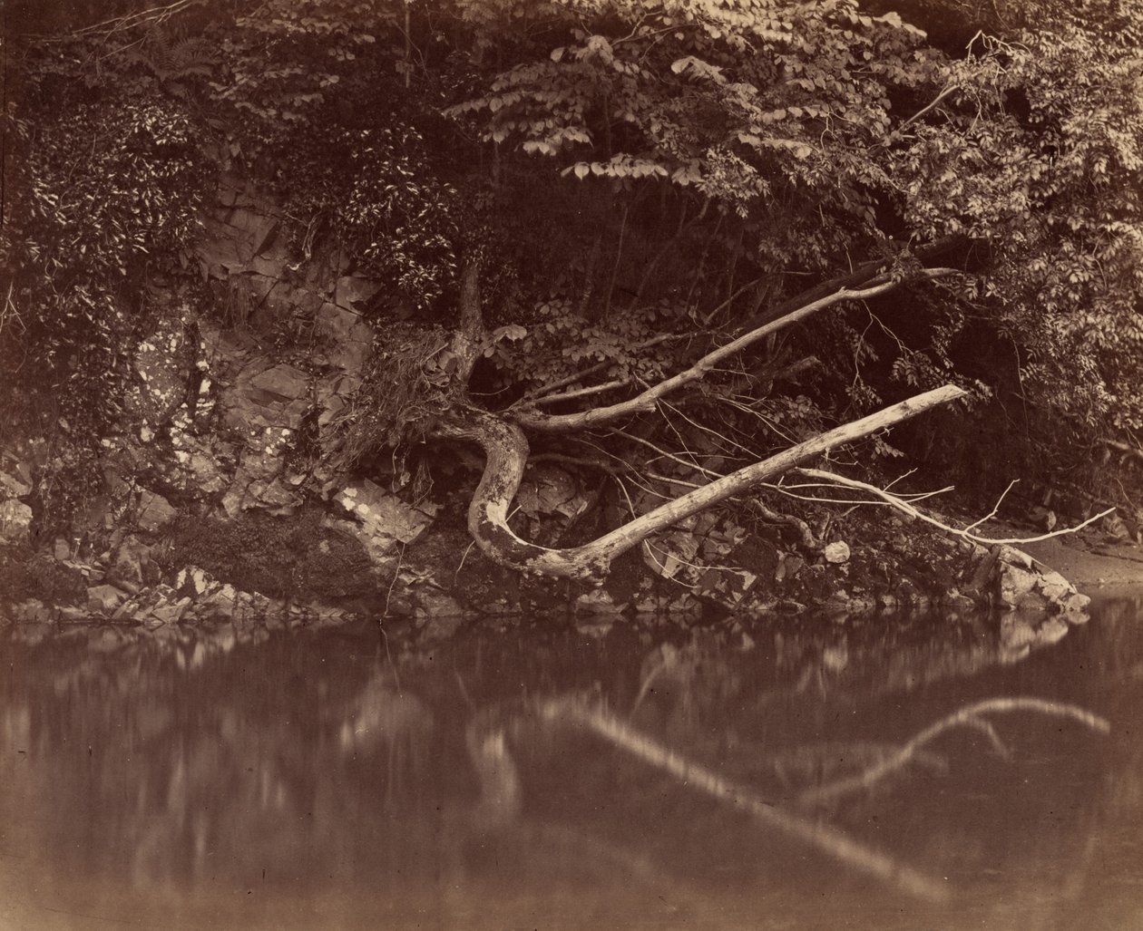 Folyópart a Neath-völgyben, kb. 1855. alkotó: G. B. Gething