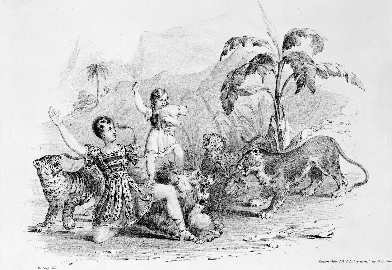 Isaac van Amburgh megszelídíti a Leont alkotó: G. E. Madeley