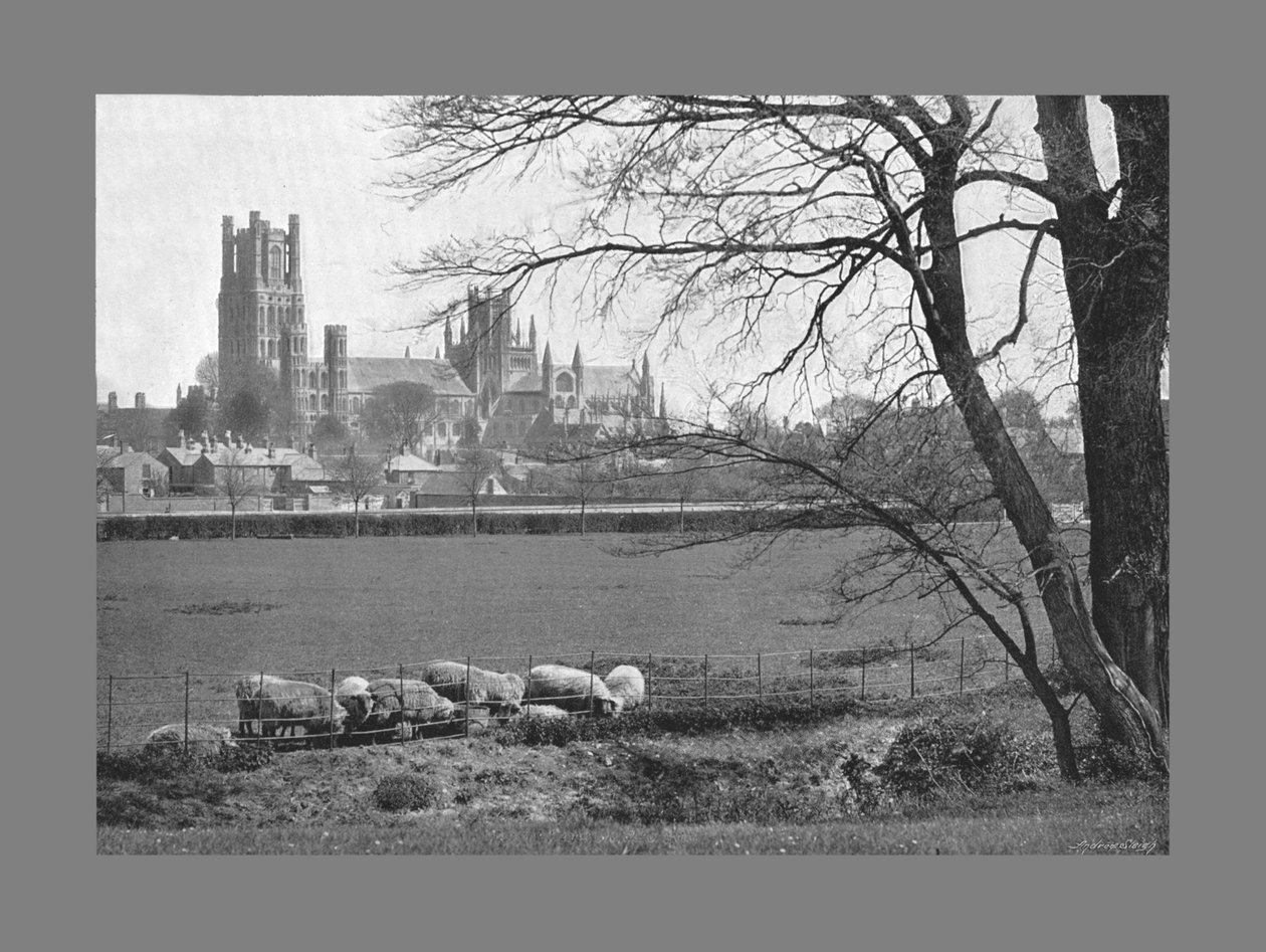 Ely-székesegyház, 1900 alkotó: G. W. Wilson and Company