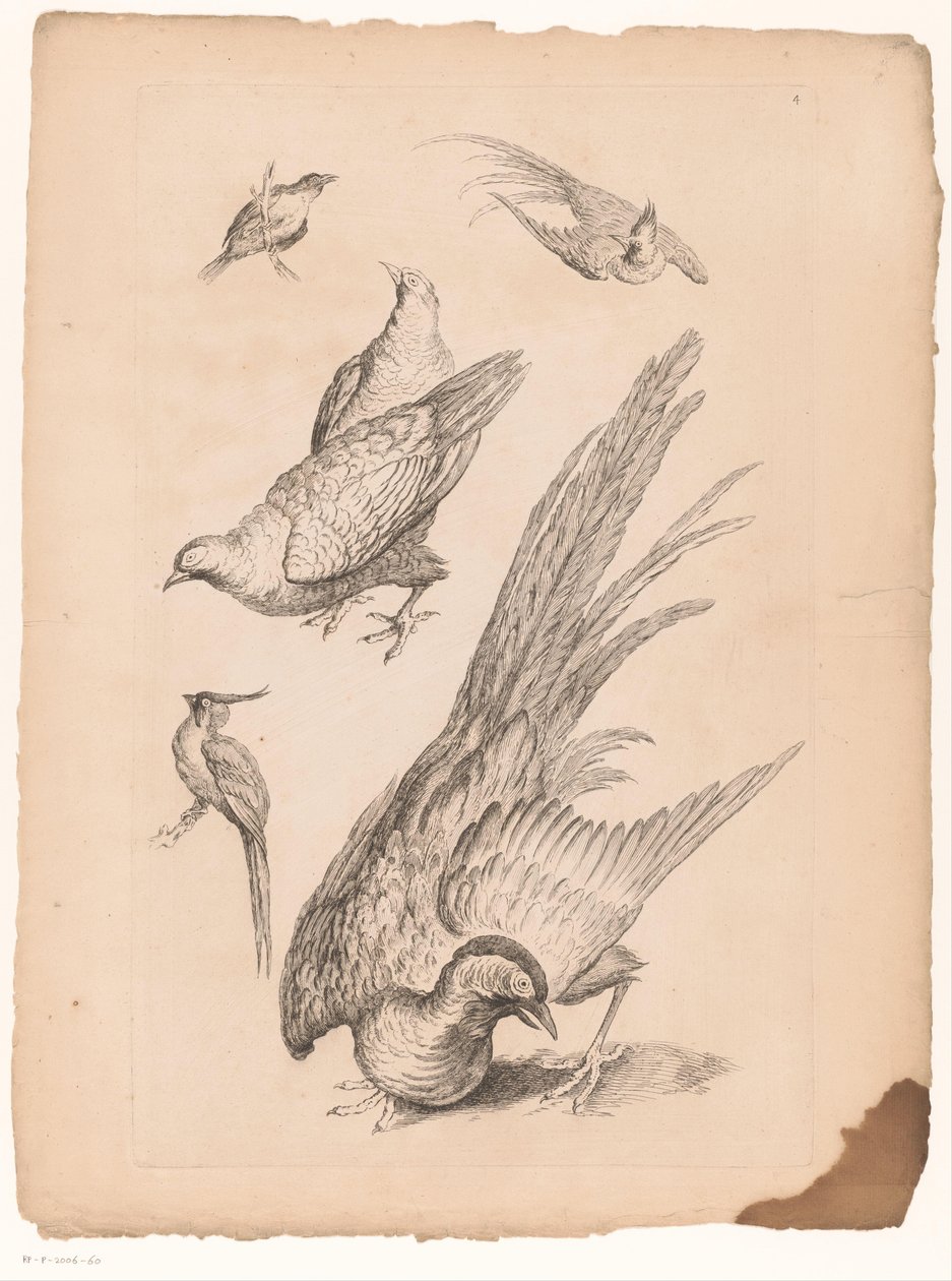 Zes kínai vogels Verschillende kínai vogels (sorozat címe) Különböző kínai madárfajok könyve (sorozat címe) alkotó: Gabriel Huquier (attributed to)