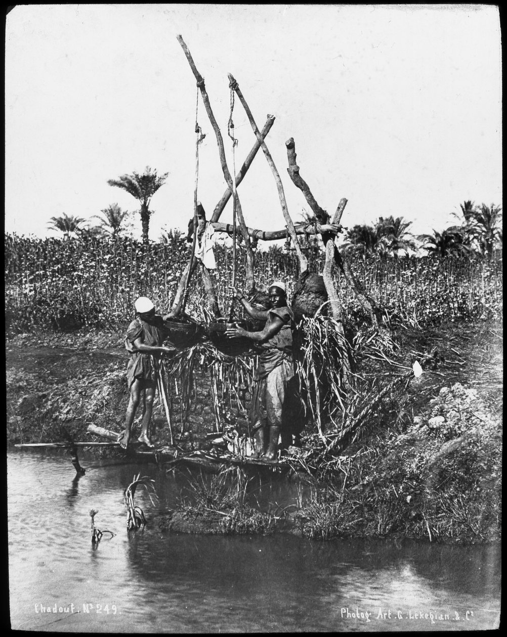 Shaduf a Níluson, Egyiptom, 1890 alkotó: Gabriel Lekegian