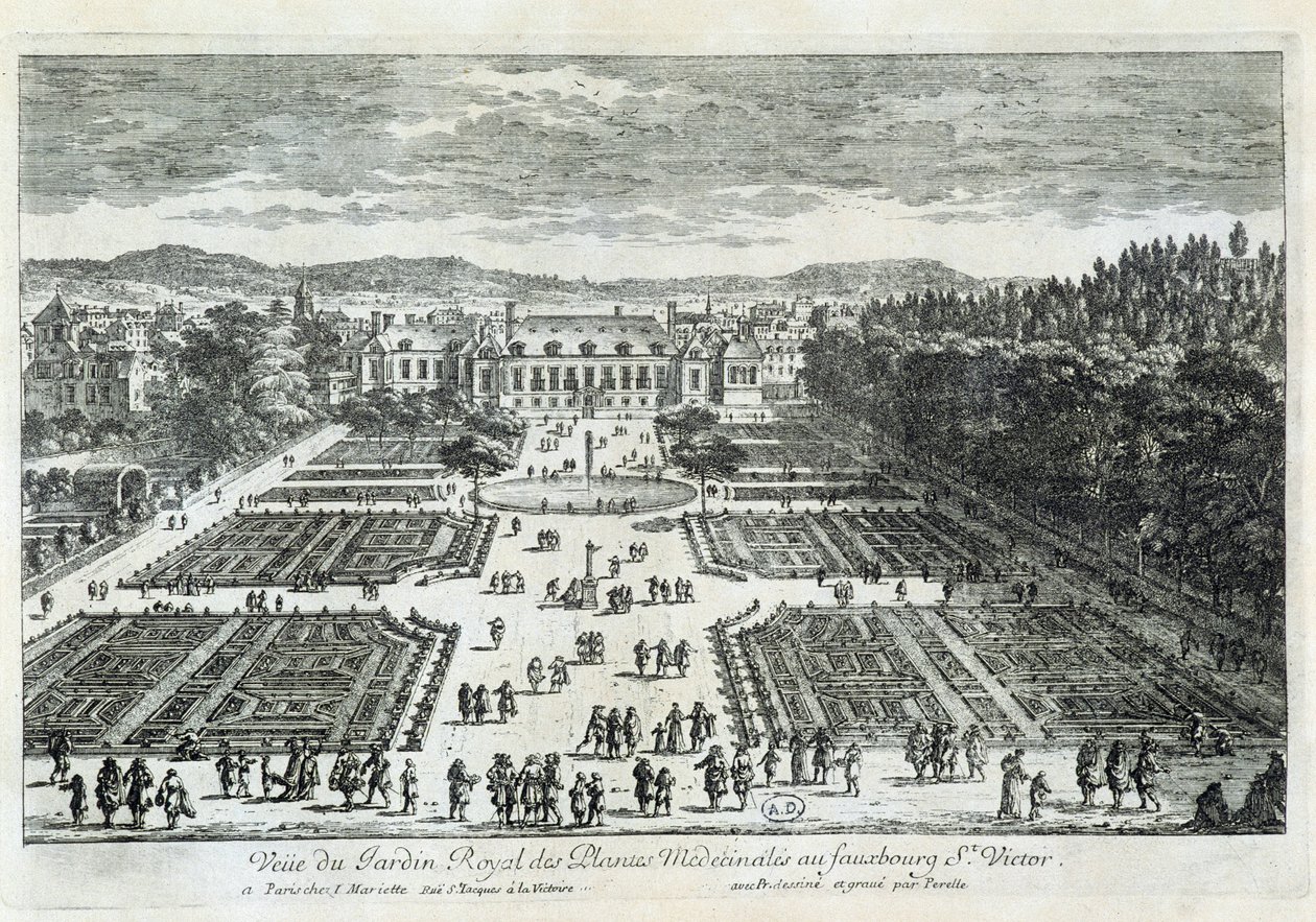 Kilátás a Jardin des Plantes-re a 17. században, Perelle által alkotó: Gabriel Perelle