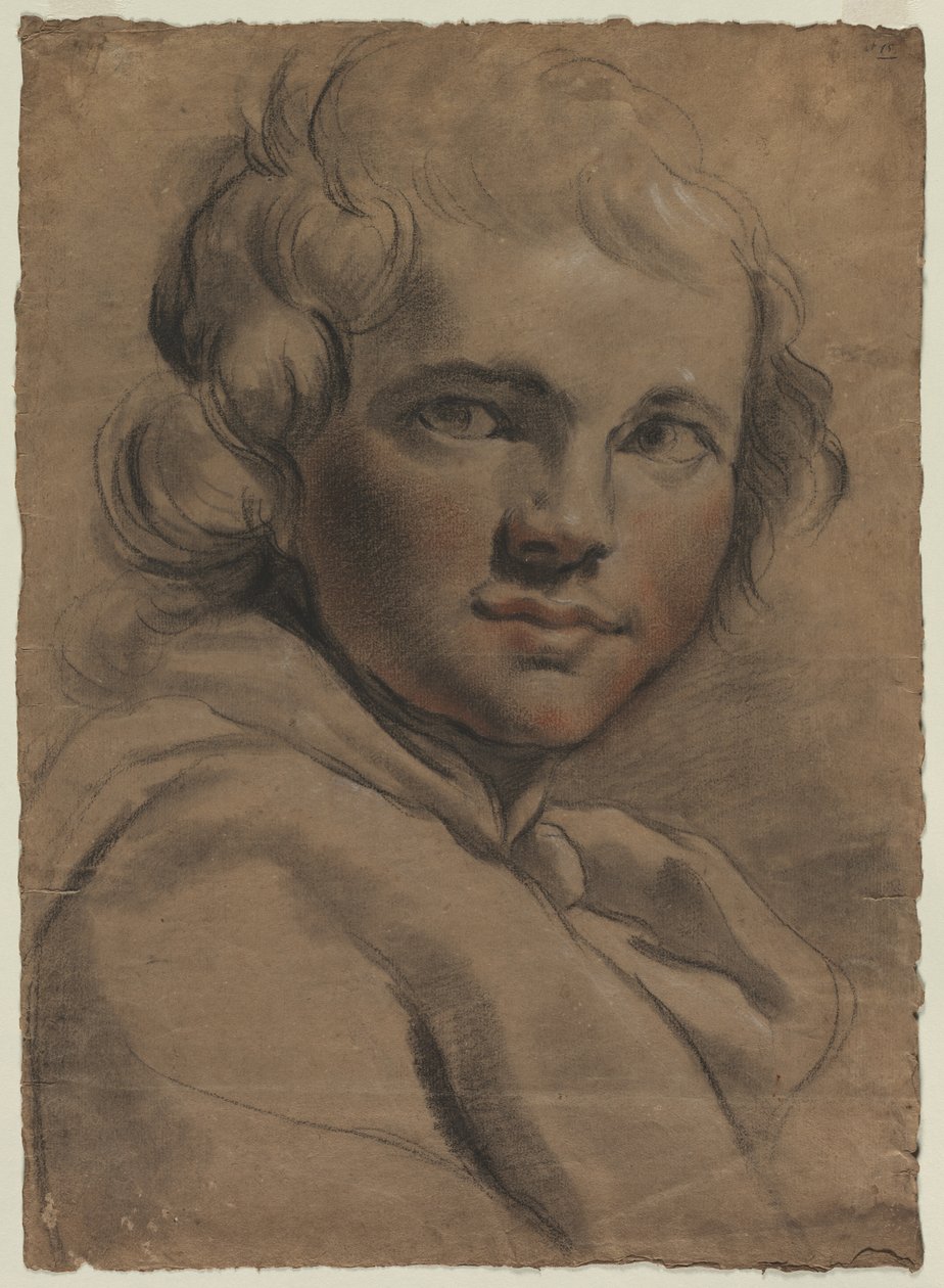 Egy fiatalember feje, 1780-as évek. alkotó: Gaetano Gandolfi